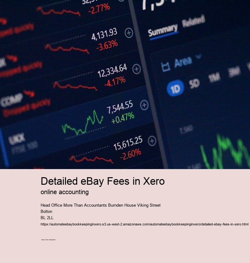 Detailed eBay Fees in Xero