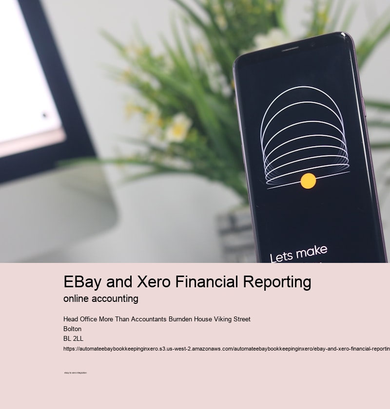 eBay and Xero Financial Reporting