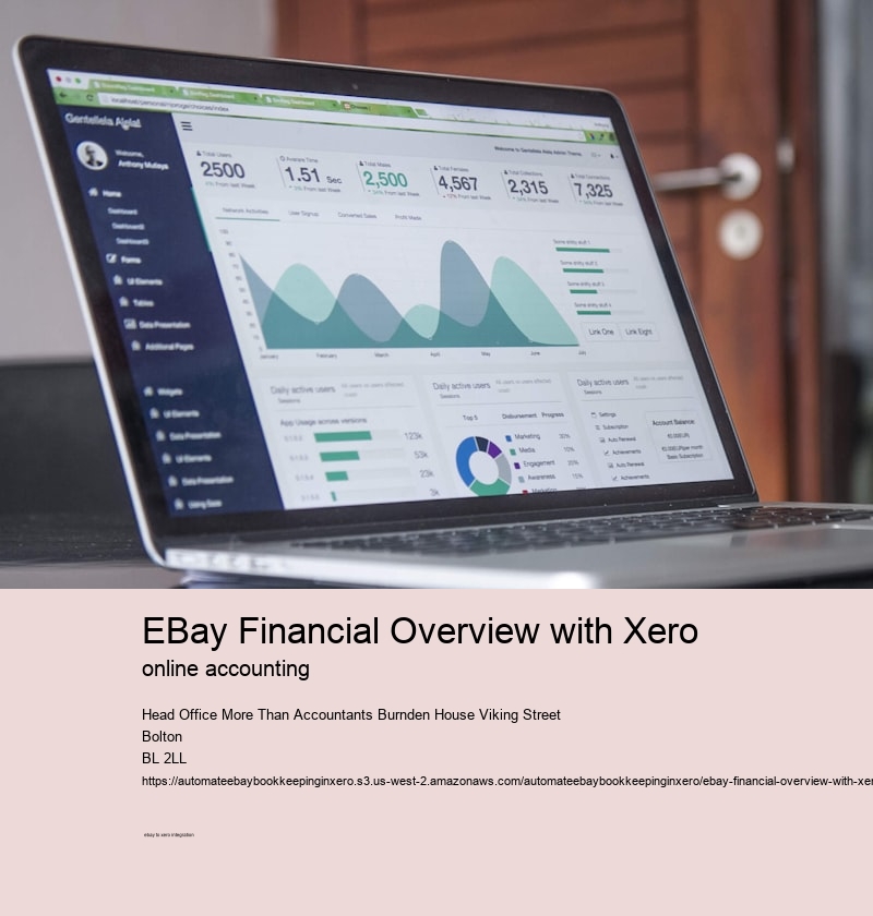 eBay Financial Overview with Xero