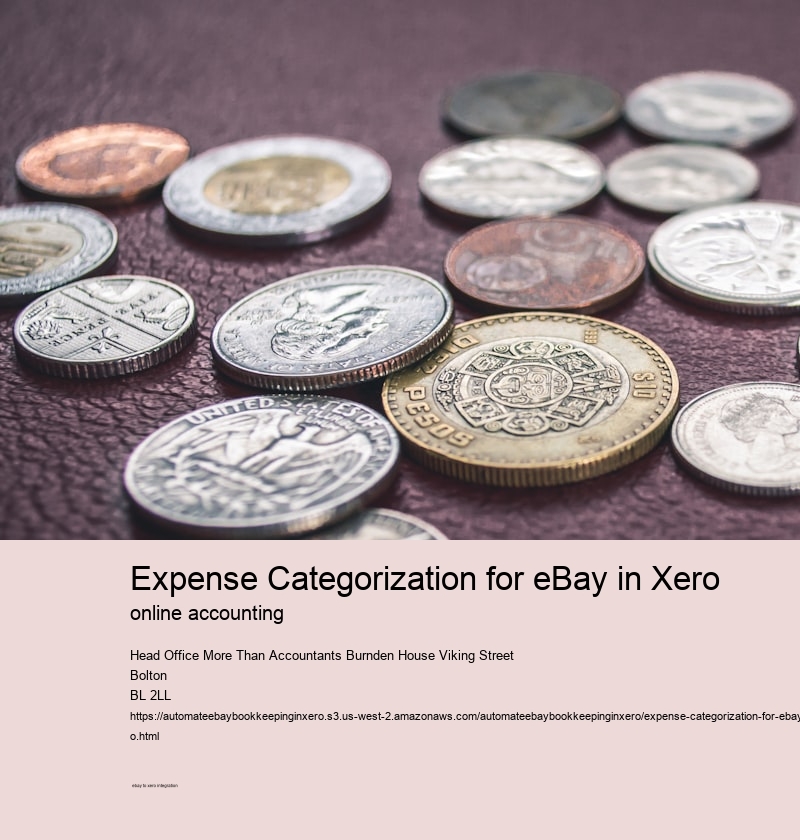 Expense Categorization for eBay in Xero